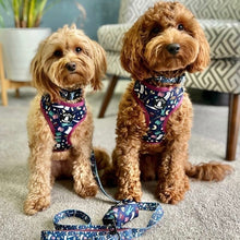 Load image into Gallery viewer, Adjustable Harness - Bitches and Wizards