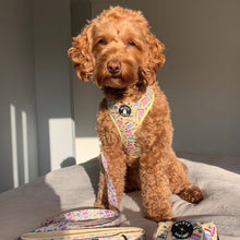 Load image into Gallery viewer, Adjustable Harness - Spread the Love