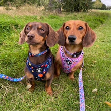 Load image into Gallery viewer, Adjustable Harness - Out of this World