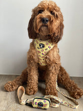 Load image into Gallery viewer, Adjustable Harness - Cherry Barkwell