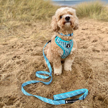 Load image into Gallery viewer, Harness Set - Rileys Houndstooth