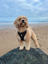 Load image into Gallery viewer, Adjustable Harness - Polka Dogs (Black)