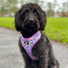 Load image into Gallery viewer, Adjustable Harness - Leopard Love