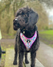 Load image into Gallery viewer, Adjustable Harness - Bowtique in Bloom