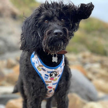Load image into Gallery viewer, Harness Set - Woofs