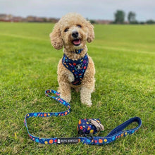 Load image into Gallery viewer, Adjustable Harness - Out of this World