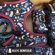 Load image into Gallery viewer, Harness Set - Bitches and Wizards