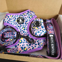 Load image into Gallery viewer, Harness Set - Leopard Love