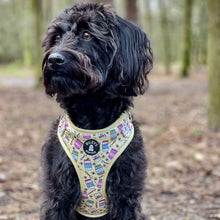 Load image into Gallery viewer, Harness Set - Spread the Love