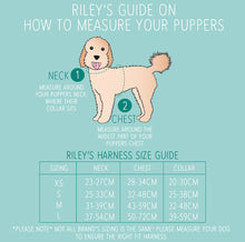 Load image into Gallery viewer, Adjustable Harness - Bowtique in Bloom