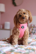 Load image into Gallery viewer, Lead - Polka Dogs (Pink)
