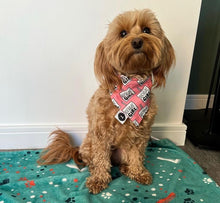 Load image into Gallery viewer, Birthday Girl Bandana
